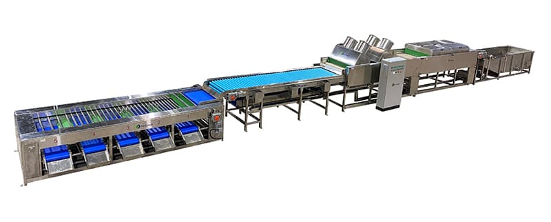 images/1656057059274Sweet Potatoes Select Equipment.jpg